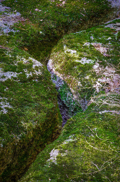 Zbliżenie mech pokryte postrzępione granitowej skały głębokiej szczeliny - Zdjęcie, obraz