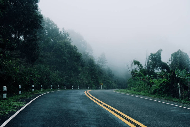 Ο αυτοκινητόδρομος μέσα από το ορεινό δάσος - Φωτογραφία, εικόνα