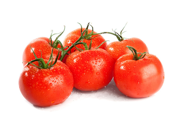 Branch of tomato isolated over a white background - Valokuva, kuva