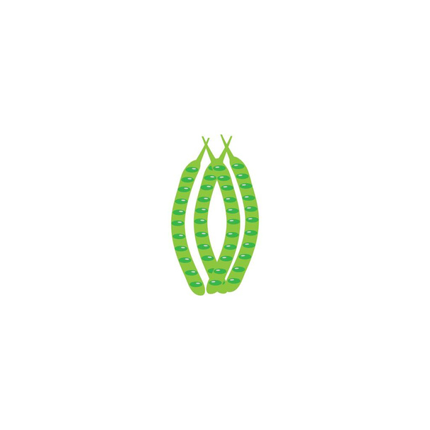 vegetale petai vector diseño ilustración icono logotipo templa - Vector, imagen