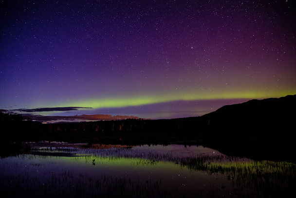 Northern lights, aurora borealis, in the Canadian Nature - Φωτογραφία, εικόνα