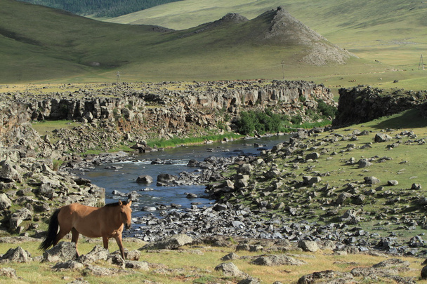 Parc national de la vallée d'Orkhon Mongolie
 - Photo, image