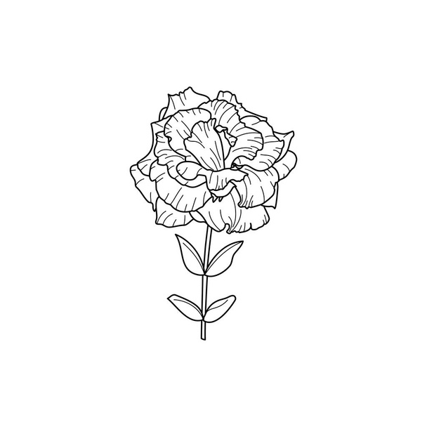 Lisianthus Flowers with leaves. Outline Eustoma In a Modern Minimalist Style. Vector Floral Illustration. - Vector, Image