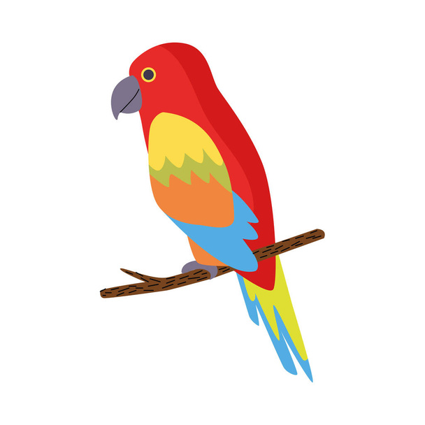 wild tropical parrot bird nature icon - Vector, Image
