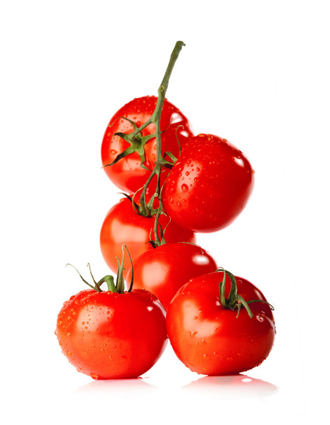 Branch of tomato isolated over a white background - Foto, Imagem