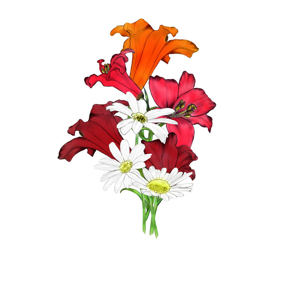 Creatieve compositie met het beeld van tuinbloemen. Lente en zomer bloemen sluiten - op een witte achtergrond, imitatie van aquarellen, vintage. Ontwerp voor het bedrukken op papier of stof. - Foto, afbeelding