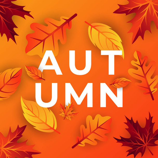 Autumn background vector with decorative leaves. Autumn fall Vector background template. Abstract Autumn background design template for ad, poster, banner, flyer, invitation, website or greeting card - Διάνυσμα, εικόνα