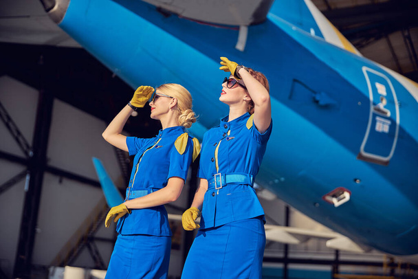 Jóképű női légikísérők kék egyenruhában és bőrkesztyűben a nagy utasszállító repülőgépen. - Fotó, kép