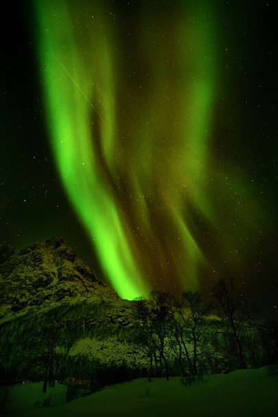 Vihreä ja violetti aurora borealis yli lumiset vuoret. Revontulet Lofoten saarilla, Norjassa. Tähtitaivas napavaloilla. Yö talvi maisema revontulet, korkea kiviä, ranta. Matkustaa. Luonnonf - Valokuva, kuva