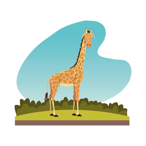 wild african giraffe animal nature icon - Вектор, зображення