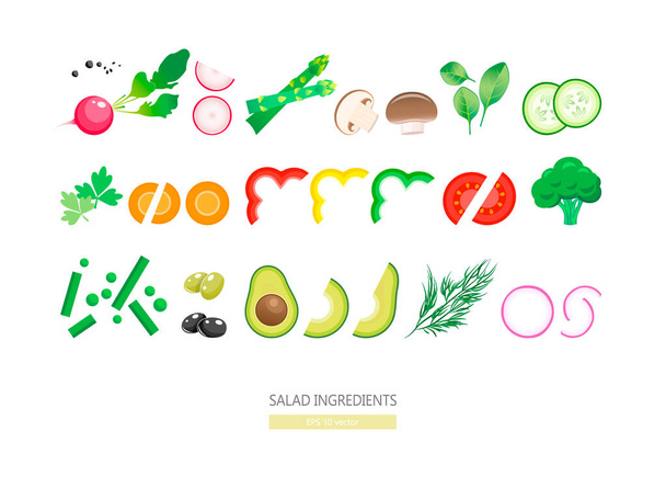 Saláta zöldségek és fűszerek izolált fehér alapon. Egészséges életmód és vegetáriánus étkezési koncepció. Vegán étel főzés nyers zöldségekkel EPS 10 vektor illusztráció. - Vektor, kép