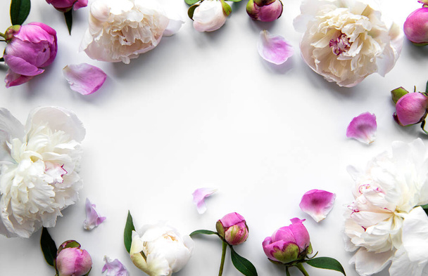 Φρέσκα ροζ παιώνια λουλούδια σύνορα με αντίγραφο χώρου σε λευκό φόντο, επίπεδη lay. - Φωτογραφία, εικόνα