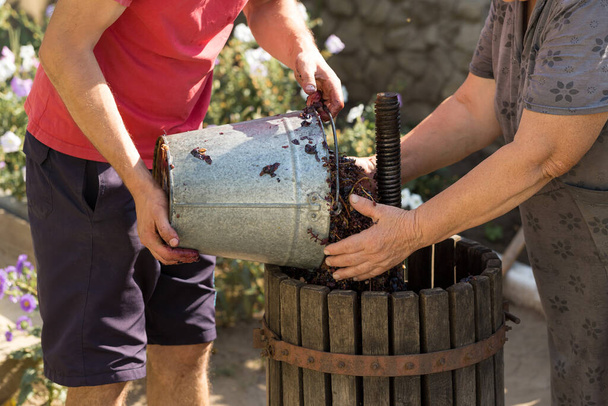 Der Winzer gießt Rohstoffe in die Presse. Herstellung traditioneller italienischer Weine, Zerkleinerung von Trauben. - Foto, Bild