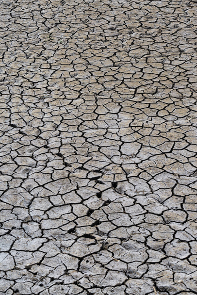 Part of a huge area of dried land suffering from drought in cracks.	 - Foto, immagini