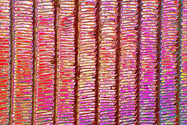 abstrakti neon värit kuvioitu koristeellinen tausta - Valokuva, kuva