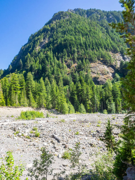 Mount Rainier National Park es un parque nacional ubicado en el condado de Pierce en el estado estadounidense de Washington. El parque fue establecido el 2 de marzo de 1899 como el quinto parque nacional en los Estados Unidos. El punto más alto en - Foto, imagen