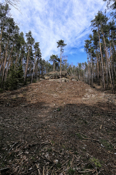 Steile heuvel met brede open plek met bomen aan de zijkanten en op de top - Foto, afbeelding