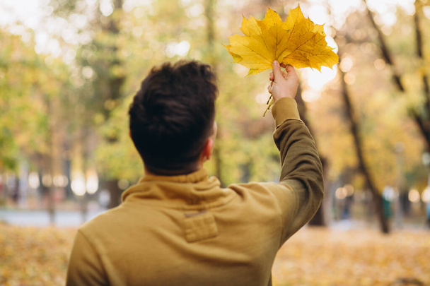 Guy in yellow blouse holding a bouquet of autumn leaves in the park - Photo, Image