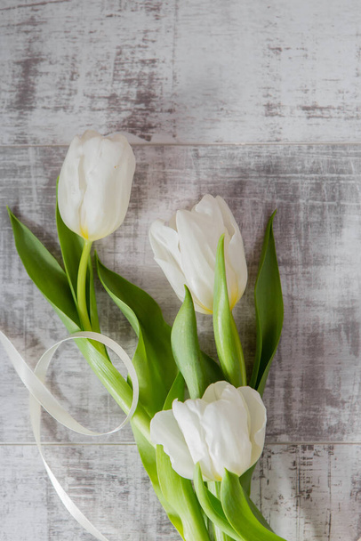 tulipanes blancos vista de cerca - Foto, Imagen