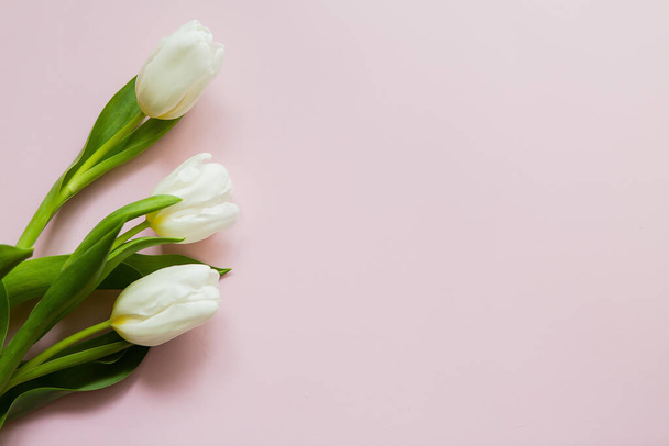 bílé tulipány zavřít pohled - Fotografie, Obrázek