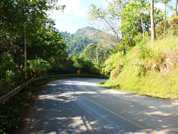 Rural asphalt road in the forest - 写真・画像