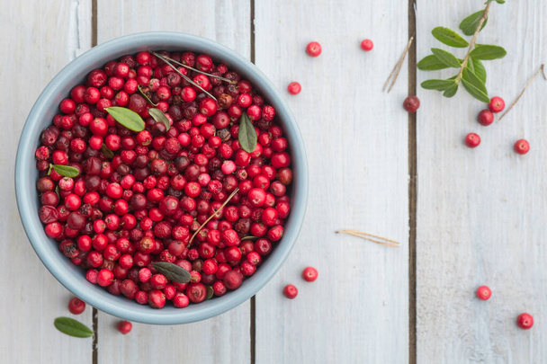 Fresh ripe forest northern lingonberries in a ceramic bowl on a white rustic plank table. Top View - Foto, Bild