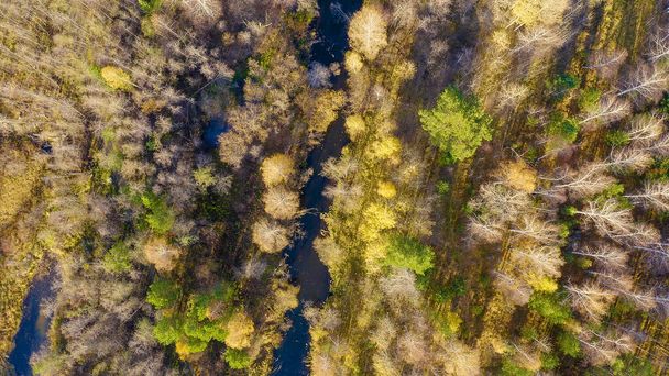Rusya, Urallar, Ekaterinburg. Sonbahar sulak ormanın arka planındaki karanlık nehir. Gün batımı ışığı, Hava Görüntüsü, Baş üstü çekim   - Fotoğraf, Görsel