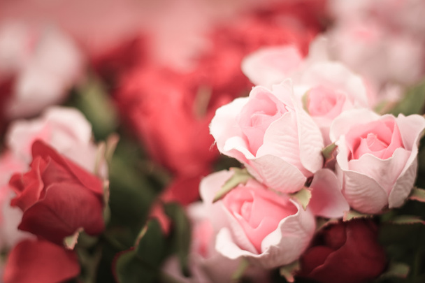 Vintage style Red and pink roses close up for background  - Foto, Bild