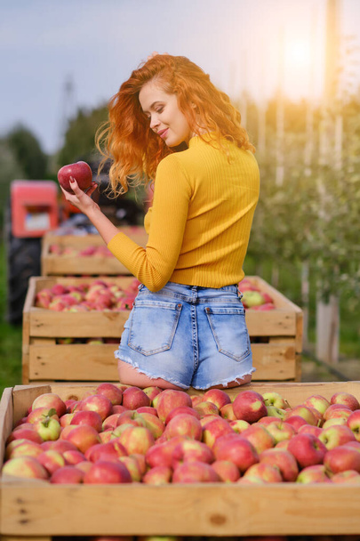 Young woman with wooden crate of ripe apples in garden, closeup - Foto, Imagem