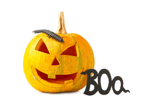 Halloween Pumpkin with decoration. Scary Jack isolated on white background. Top view - Foto, imagen