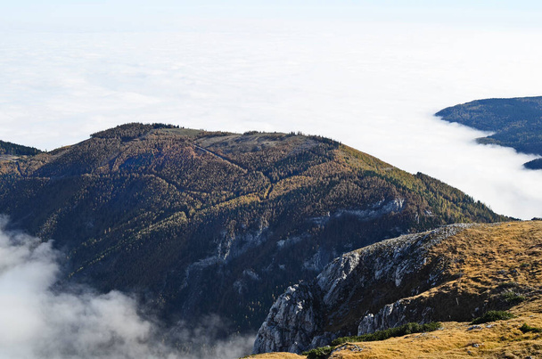 Австрия, высокий туман над бассейном Пухберга на горе Шниберг - Фото, изображение