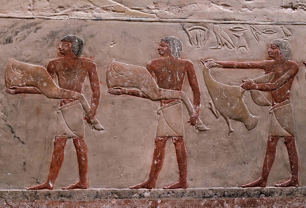 Oud EGYPTIAN RELIEFS EN HIEROGLYPHS - Foto, afbeelding