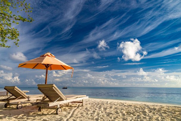 Прекрасний тропічний пляжний банер. Білий пісок і кокосові пальми подорожують туризмом широкою концепцією панорамного фону. Дивовижний пляжний пейзаж. Підвищити процес кольору. Розкішний острів курорт відпочинок або відпустка
 - Фото, зображення