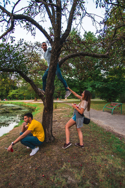 Arkadaşlar parkta ağaçlara tırmanıyor ve güzel günbatımı manzarasının ve yakınlarındaki nehrin tadını çıkarıyorlar. - Fotoğraf, Görsel