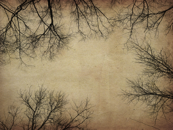 グランジ裸の木 - 写真・画像