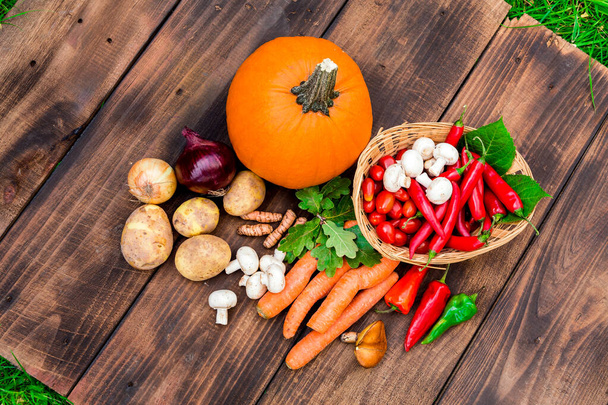 De la nourriture biologique. Récolte de légumes frais.Légumes d'automne sur une table en bois. Saison des citrouilles. - Photo, image
