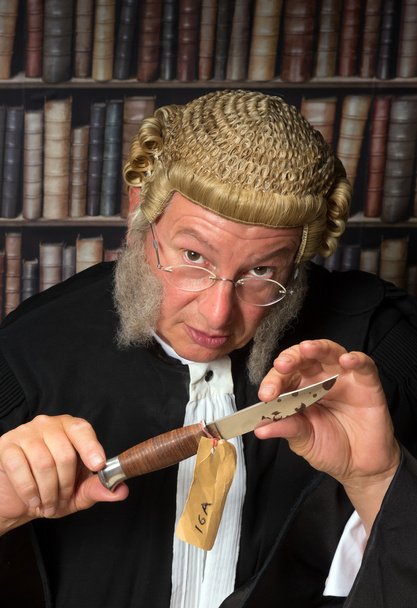 Lawyer showing evidence - Фото, изображение