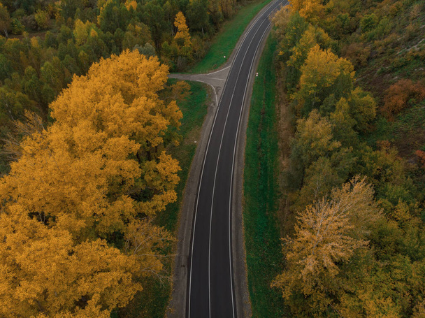 Αεροφωτογραφία του δρόμου στο όμορφο φθινόπωρο Altai δάσος - Φωτογραφία, εικόνα