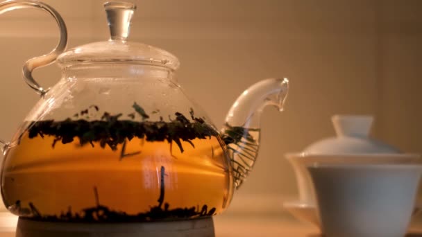 Close up de bule cheio e uma pequena xícara chinesa branca isolada no fundo da parede bege. Conceito. Chá delicioso em um bule de vidro perto de gaiwan tradicional e uma xícara. - Filmagem, Vídeo