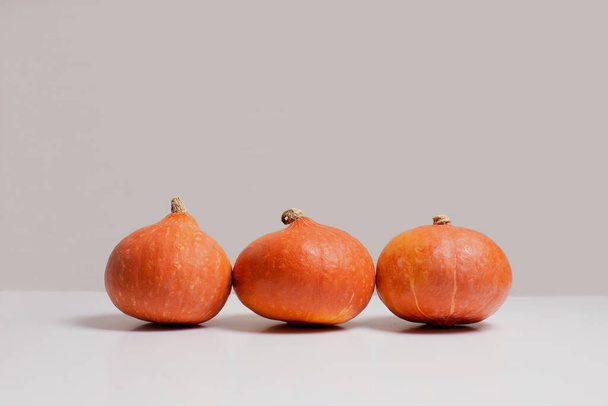 Kolme oranssia kurpitsaa valkoisella pöydällä harmaan taustanäkymän edessä kopiointitilalla. Syksyn sadon koostumus. Halloween-koristeet, kiitospäivät. Kodikas hygge-konsepti. Varastossa kuva - Valokuva, kuva