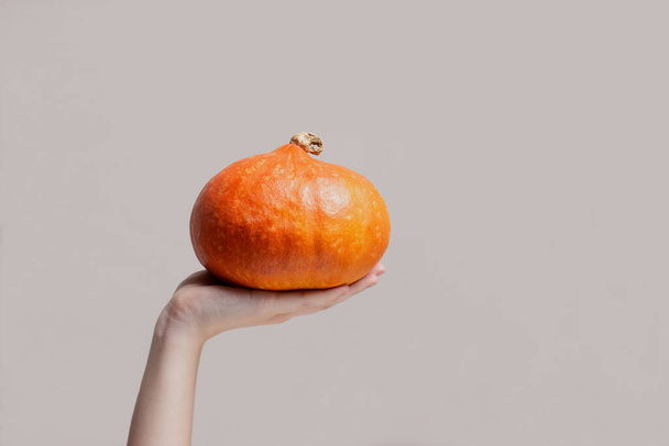 Female hand holding orange pumpkin in front of gray background with copy space. Autumn harvest composition. Halloween decorations, thanksgiving holidays. Cozy, hygge concept. Stock photo - Photo, Image