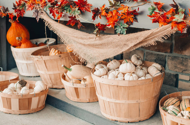 Piros, fehér tök kosarakban, boltról boltra a farmon. Őszi szüret. Tárolja szabadtéri dekoráció. Hálaadás és Halloween ünnepi előkészületek. Színes, friss szezonális zöldségek. - Fotó, kép
