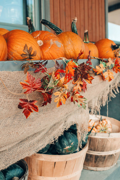 Piros, zöld tök kosarakban, boltról boltra a farmon. Őszi szüret. Tárolja szabadtéri dekoráció. Hálaadás és Halloween ünnepi előkészületek. Színes, friss szezonális zöldségek. - Fotó, kép