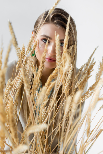 young woman looking at camera through spikelets of wheat on blurred foreground  - Photo, Image