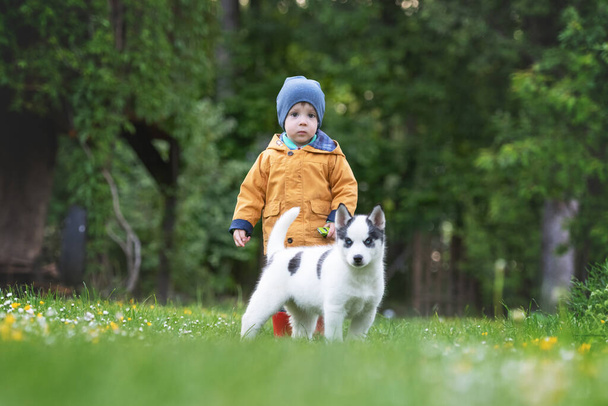 Small kid in yellow jacket with white dog puppy - Foto, Imagem