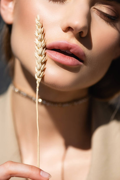 cropped view of young woman holding wheat spikelet near face - Φωτογραφία, εικόνα