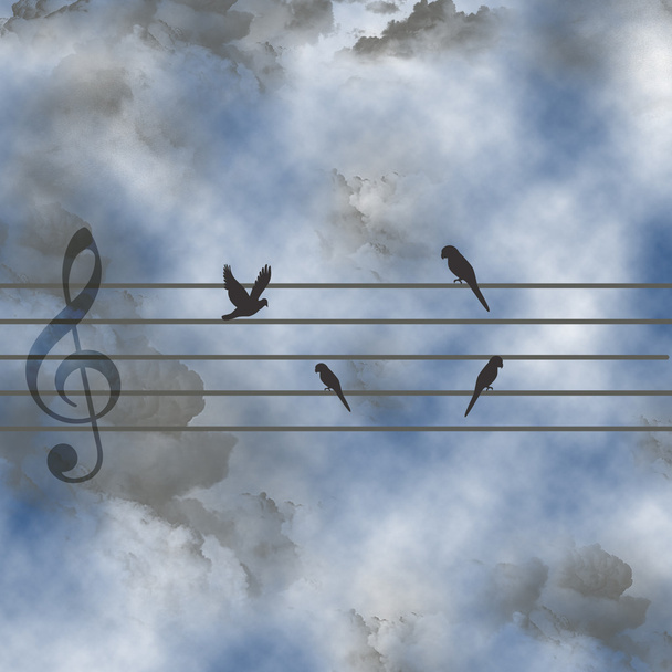 Aves musicales
 - Foto, imagen