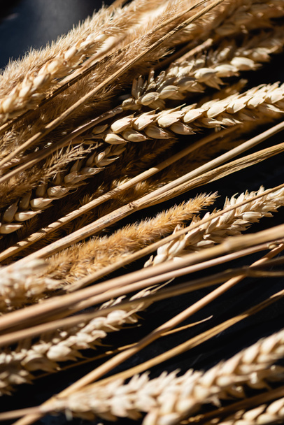 close up of lighting on ripe wheat spikelets  - Fotó, kép