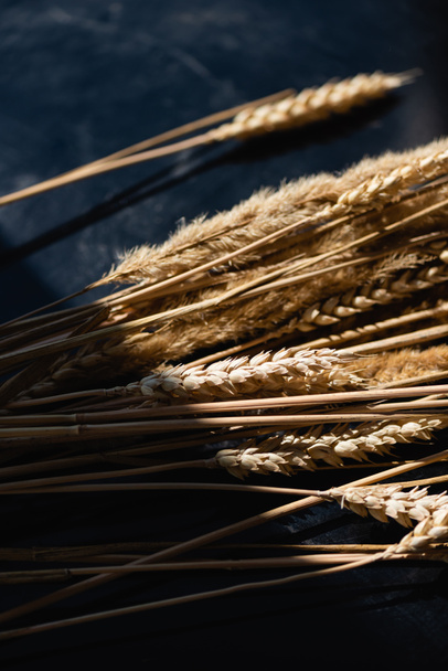 lighting on ripe wheat spikelets on dark grey background  - Fotografie, Obrázek