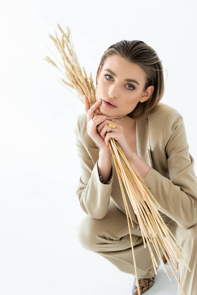 stylish young woman in beige suit sitting while holding wheat on white - Photo, Image